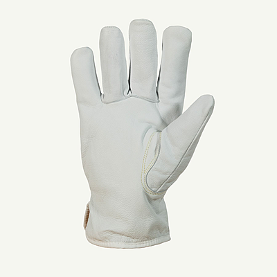378GKGTL-Palm.png