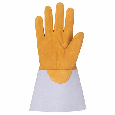 060346_palm_3.png